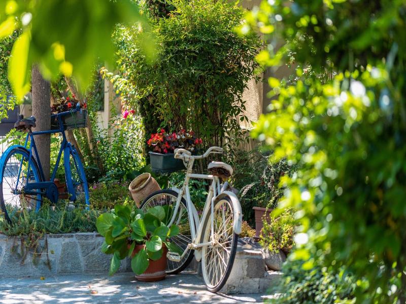 Villa Mery image