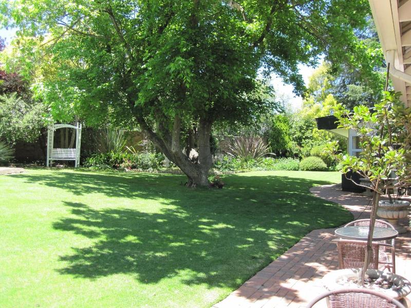 The Pecan Tree image