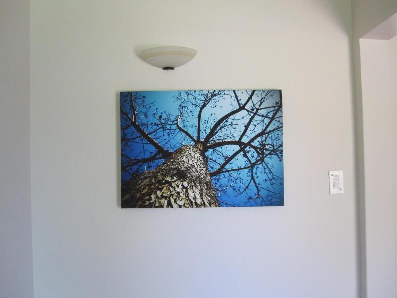The Pecan Tree image