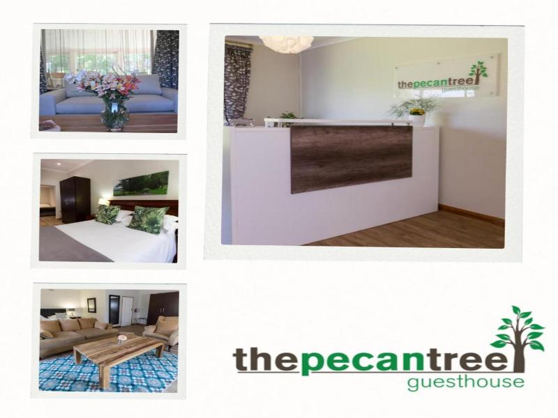 The Pecan Tree image