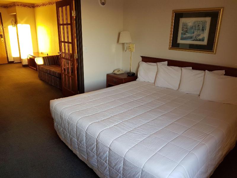 Sky-Palace Inn & Suites Northfield image
