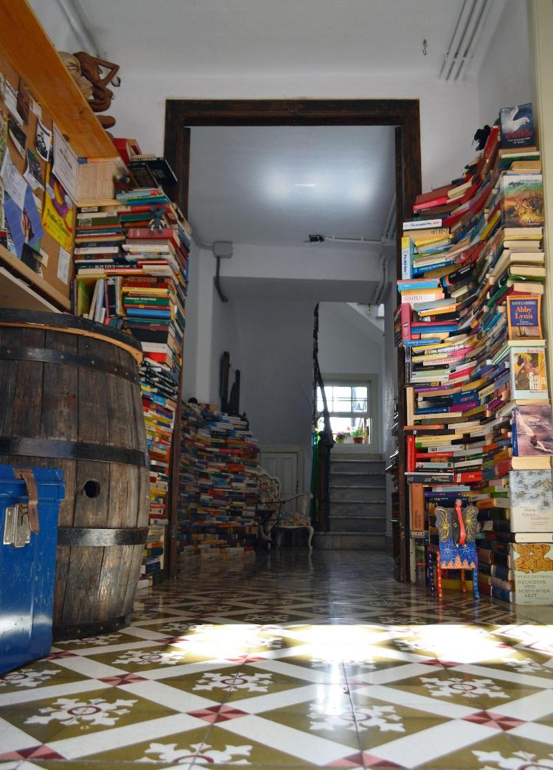 Ratones De Biblioteca image