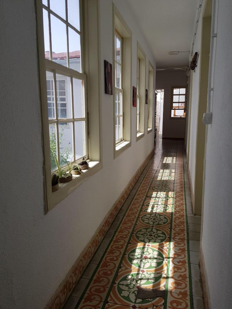 Ratones De Biblioteca image