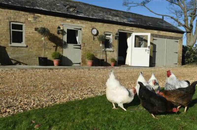 Bridleway Bed And Breakfast image