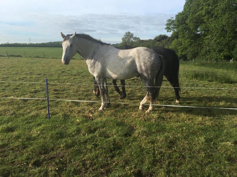 Bridleway Bed And Breakfast image