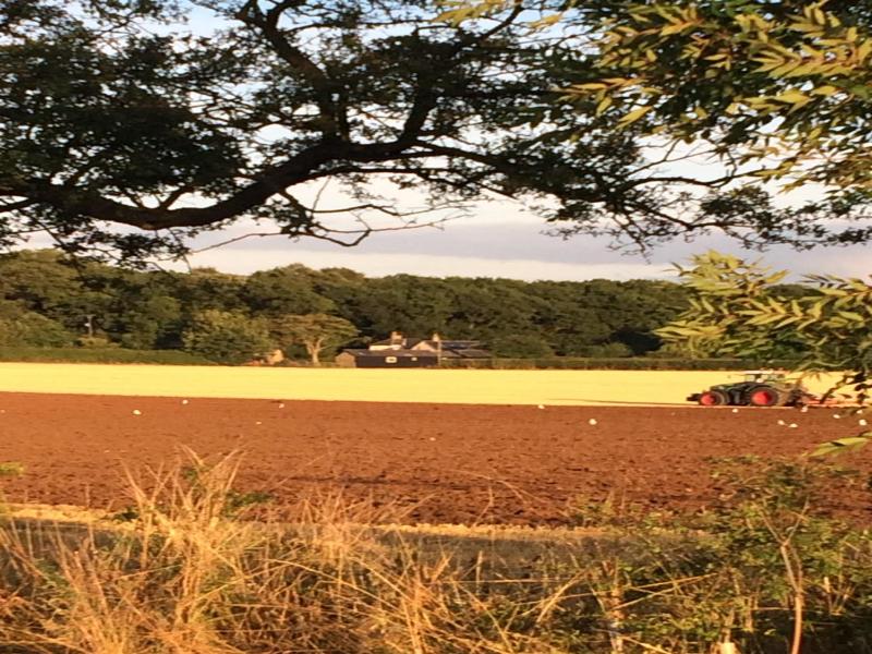 Bridleway Bed And Breakfast image