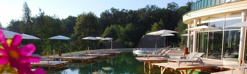 MARTINIHOF  Bad Tatzmannsdorf image
