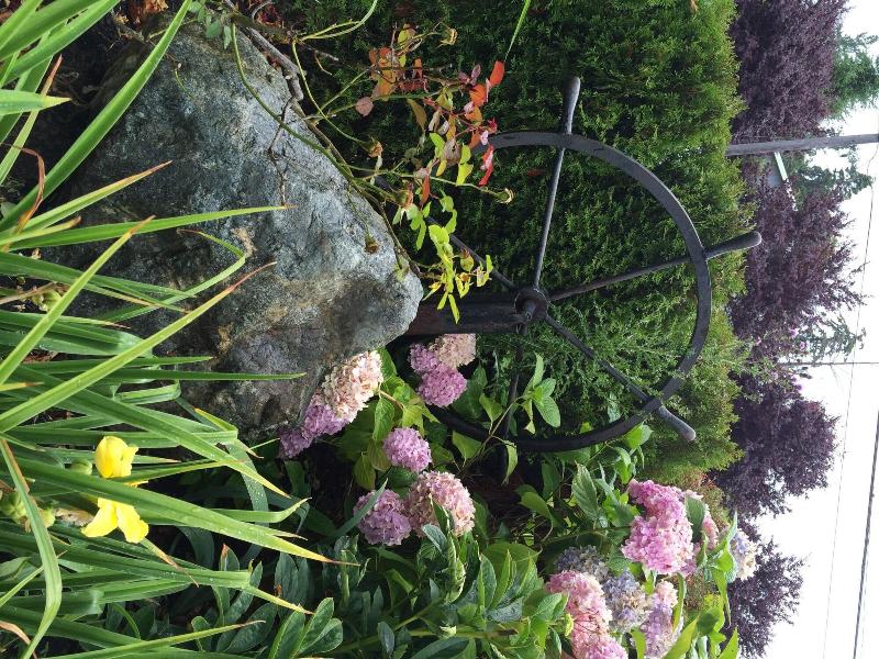 Camano Island Inn image