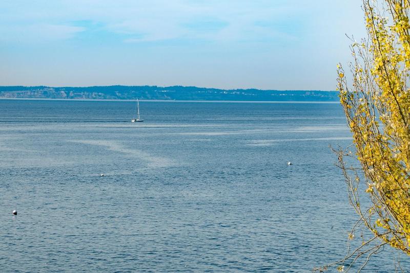Camano Island Inn image