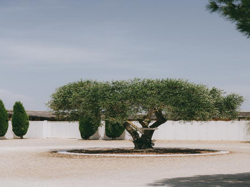 Mas de la Fouque Hôtel & Spa image
