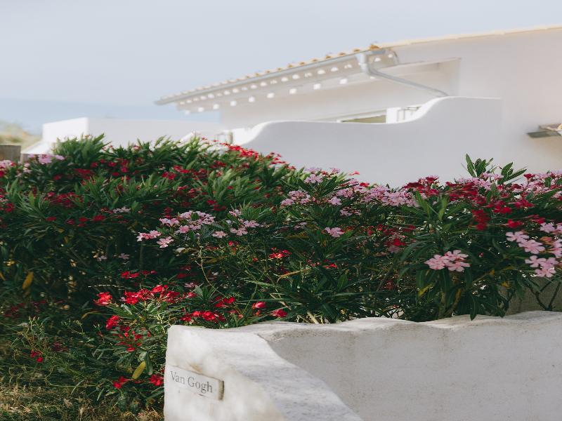Mas de la Fouque Hôtel & Spa — general view