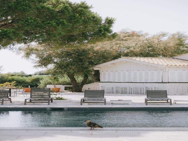 Mas de la Fouque Hôtel & Spa image