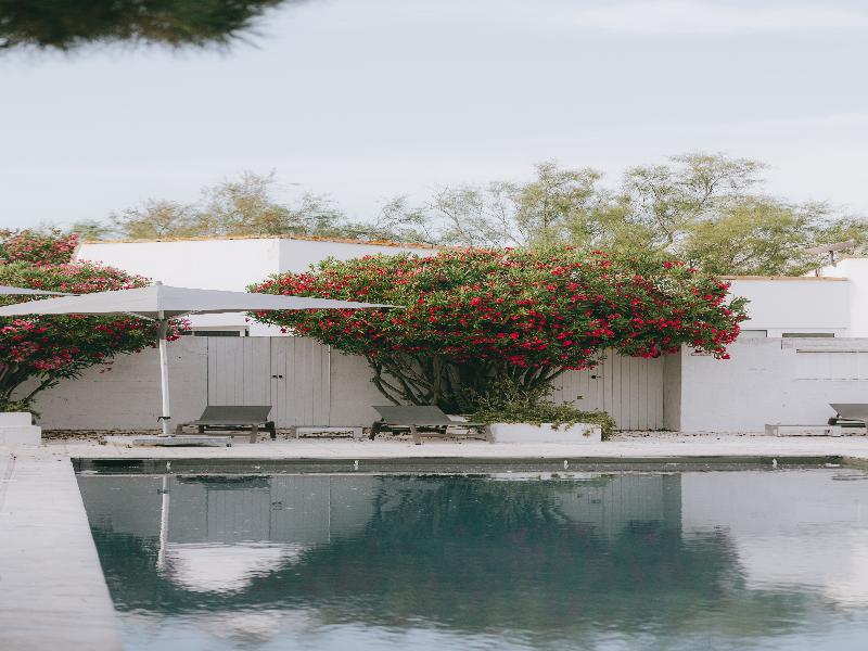 Mas de la Fouque Hôtel & Spa image