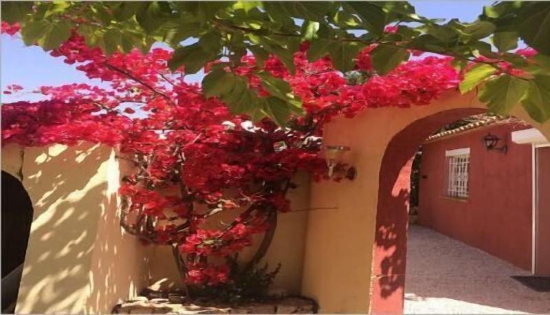 Casa Di Floumy image