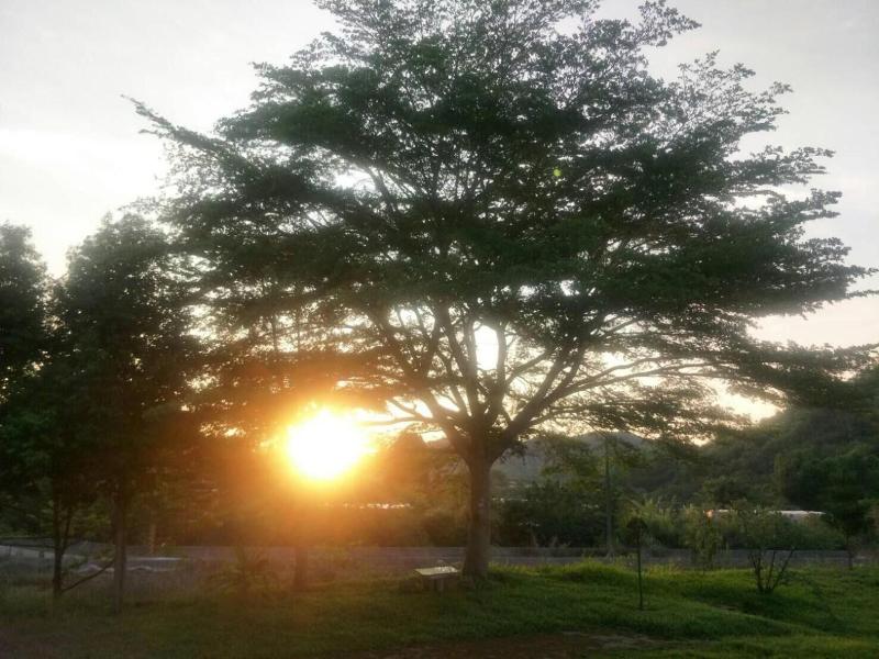 556Homestay image