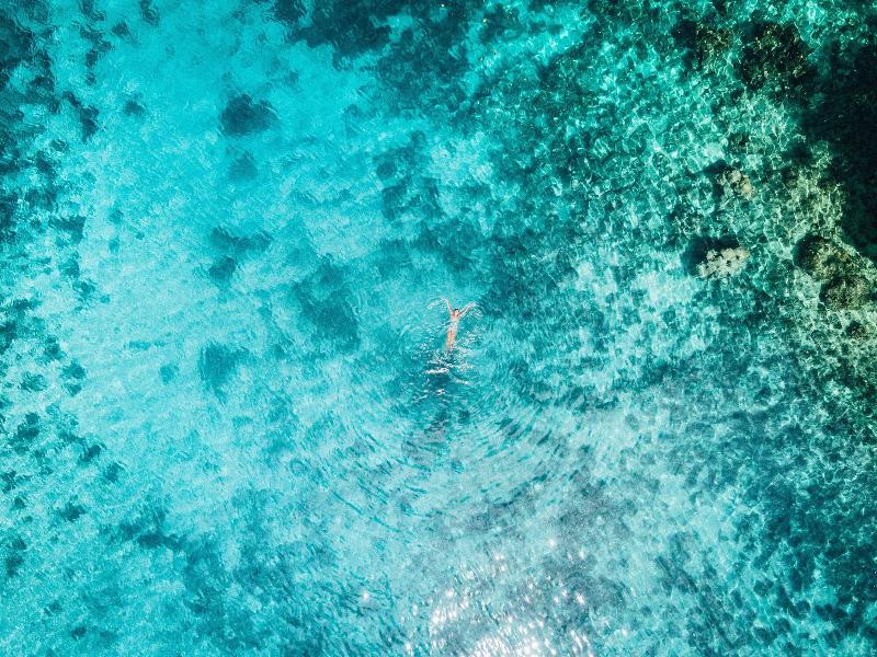 Club Tara Resort image 8
