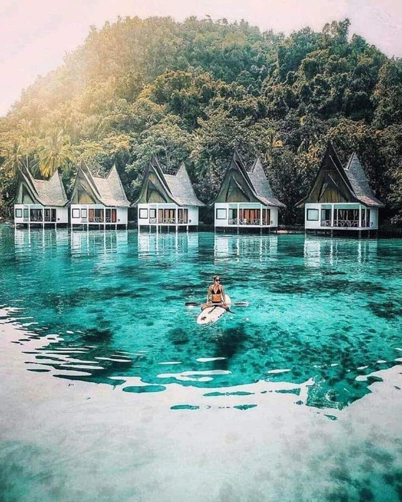 Club Tara Resort image