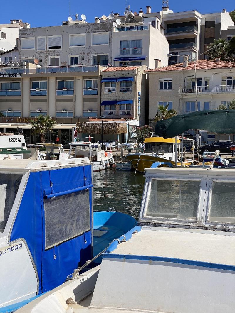 Larimar Boutique Hotel image