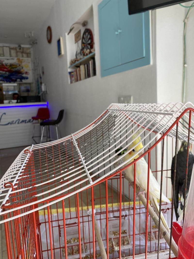 Larimar Boutique Hotel image