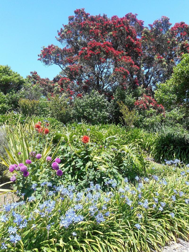 La Casa Te Puru Lodge image