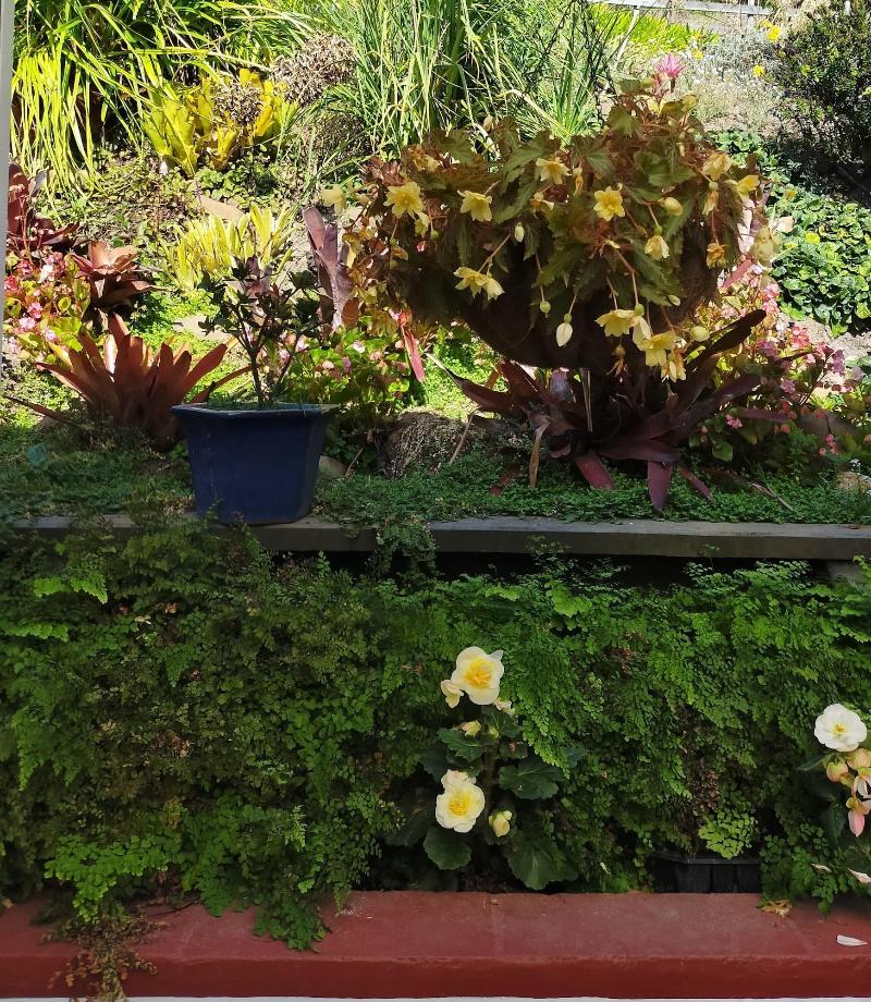 La Casa Te Puru Lodge image