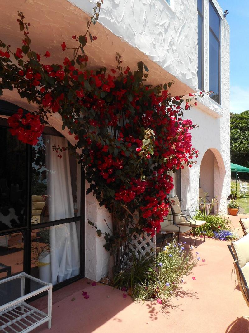 La Casa Te Puru Lodge image