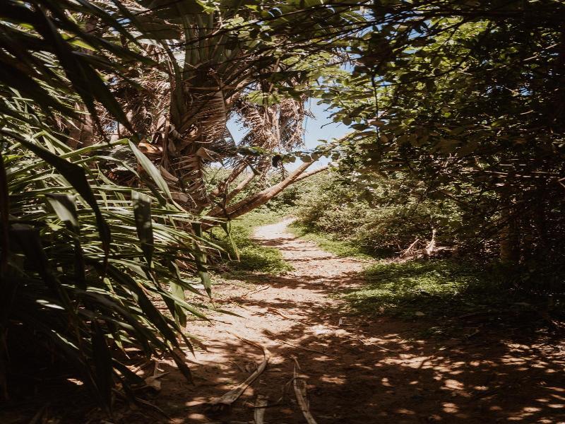 Caza Beach Guesthouse image