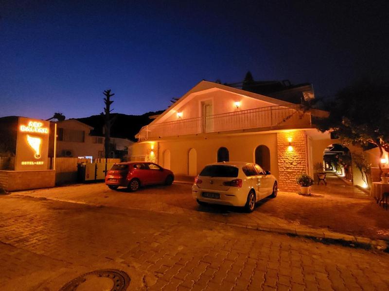 Arp Dalyan — general view