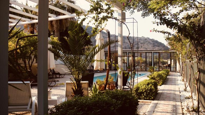 Arp Dalyan image