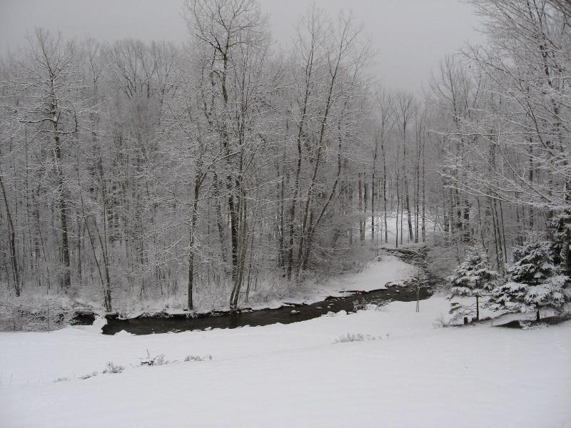 Toll Road Inn image