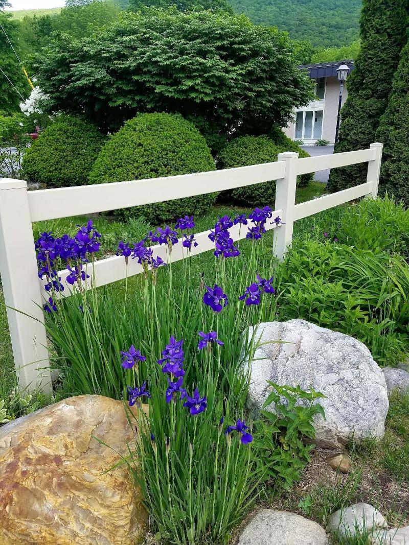 Toll Road Inn image