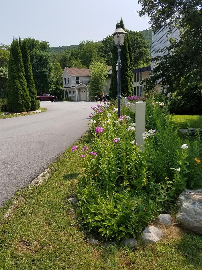 Toll Road Inn image