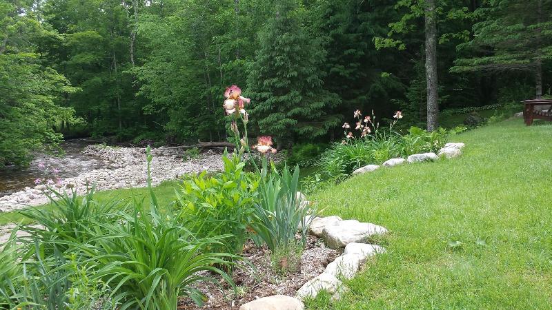 Toll Road Inn image