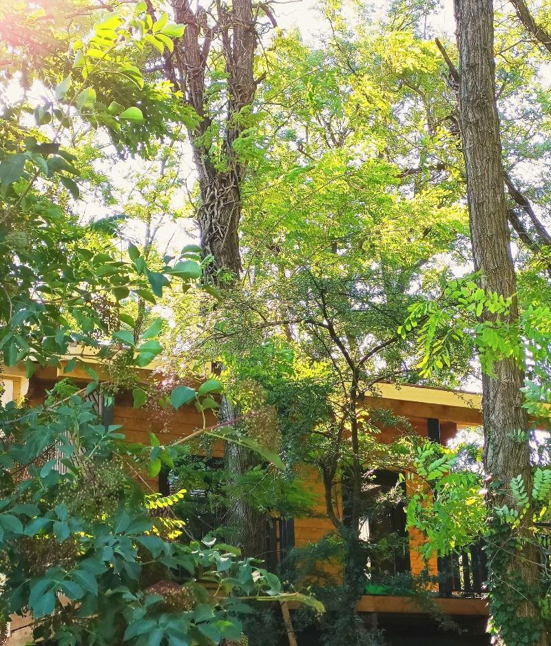 Des Branches & Vous image