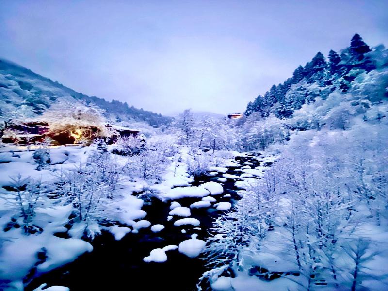 Nordic Hotel image