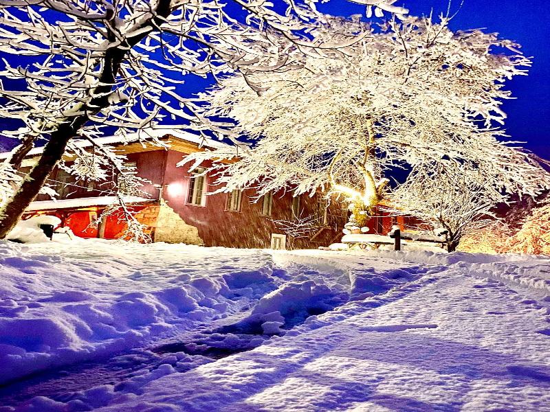 Nordic Hotel image