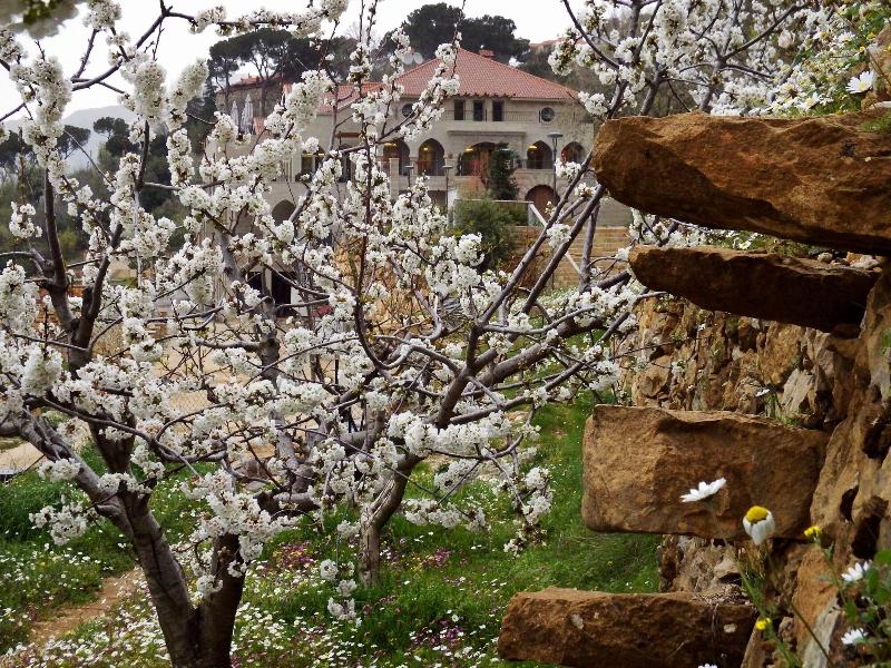 Cherry Blossom Boutique Hotel image