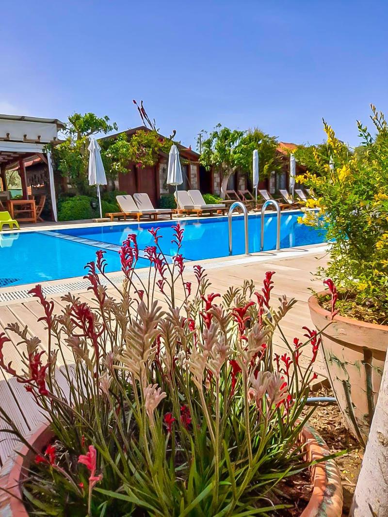 Lunabegonvil Tas Evler