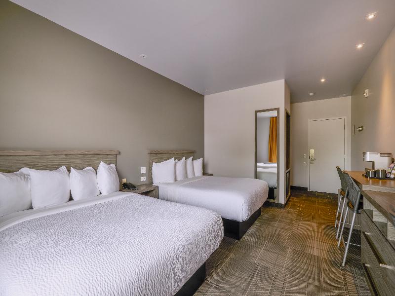 Hôtel Ô Suites — photo 14