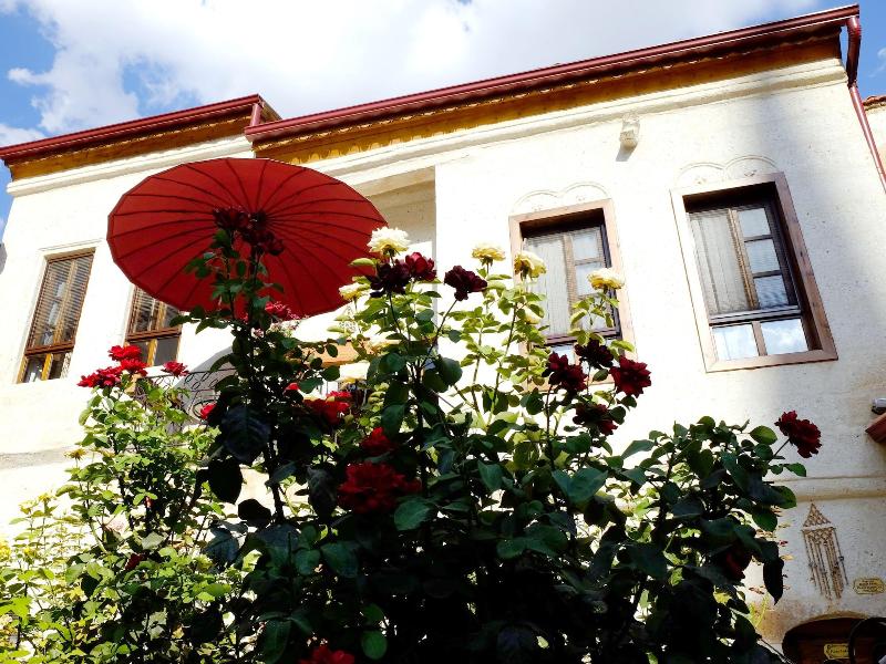 Mansions of love