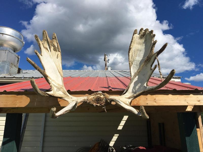 Kluane Park Inn — general view
