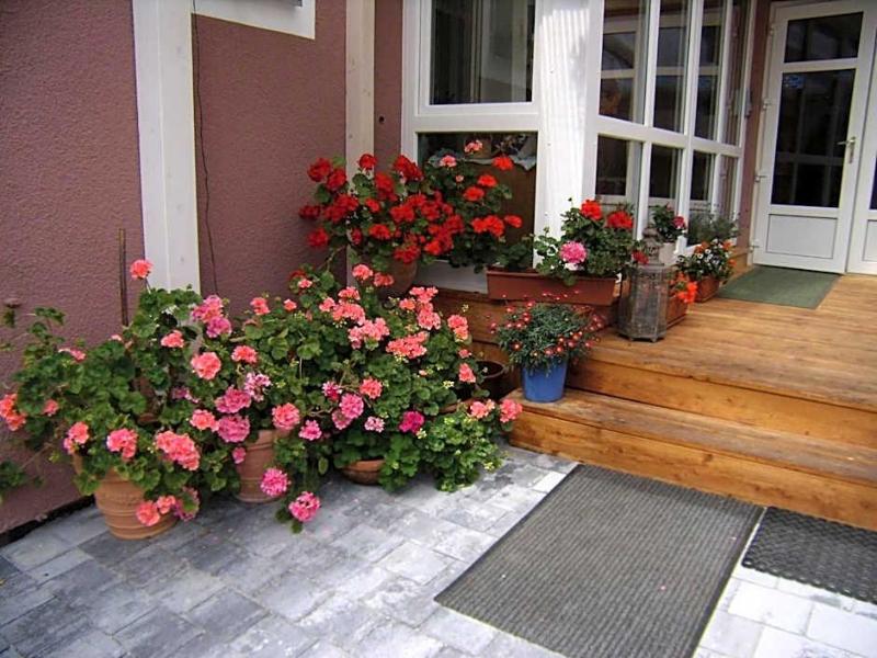 Wellnesshaus Waldmunchen image