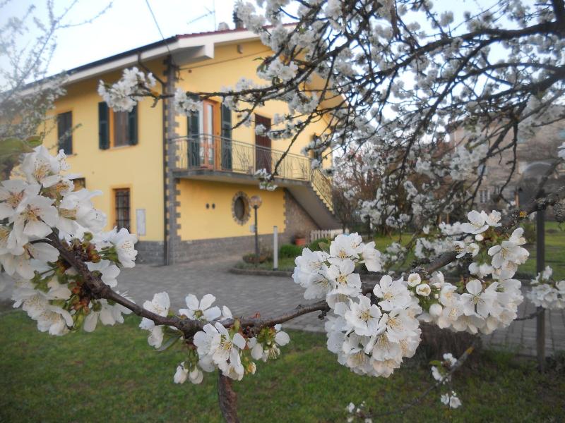 B&B Pervinca image