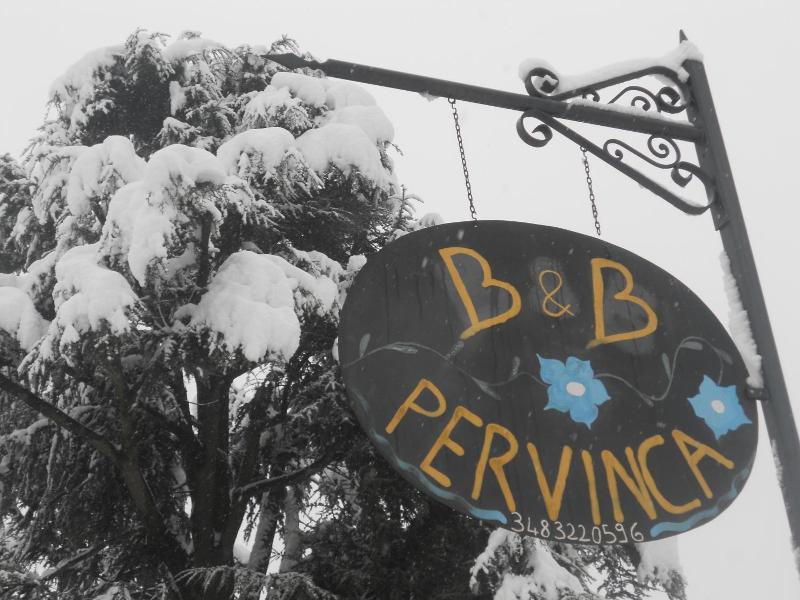 B&B Pervinca image