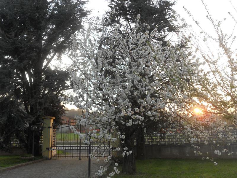 B&B Pervinca image