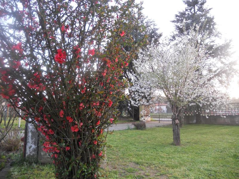 B&B Pervinca image