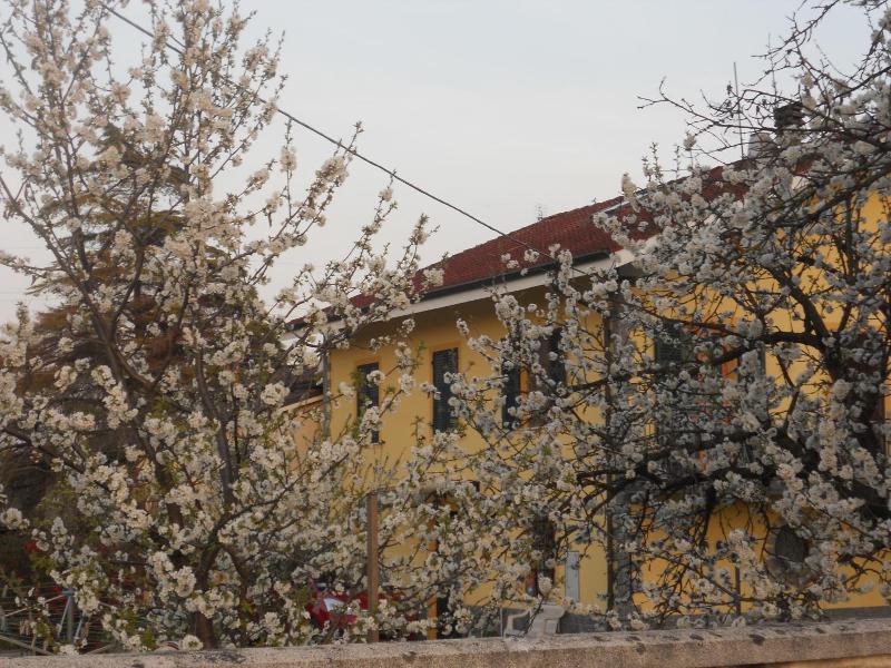 B&B Pervinca image