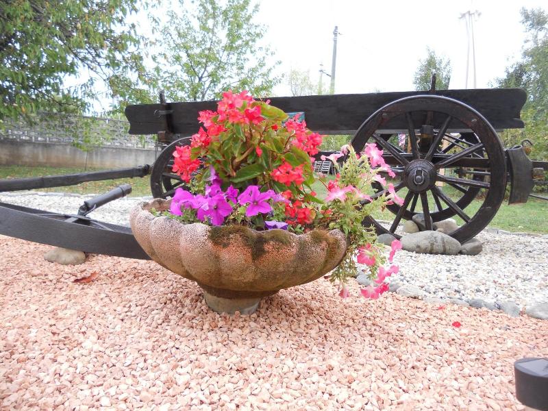 B&B Pervinca image