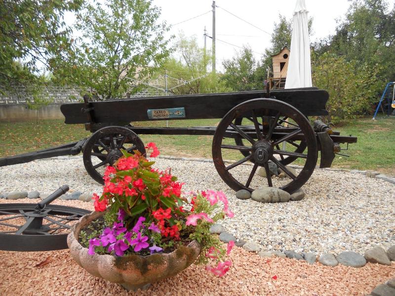 B&B Pervinca image