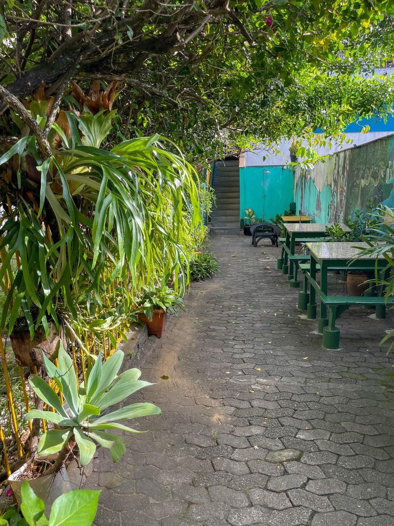 Onça da Praia Hostel